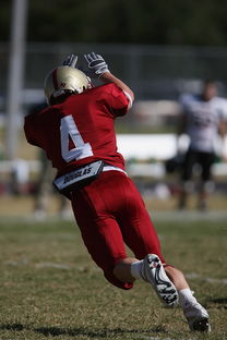 开云官网在线-全国青少年跳水锦标赛在深圳火热进行，全国青少年跳水比赛