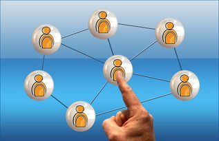 开云体育ios下载-英超球员社交媒体互动提升粉丝忠诚度研究，英超球队球迷